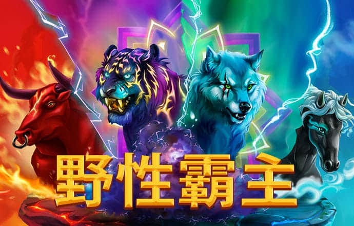 茅韵旭